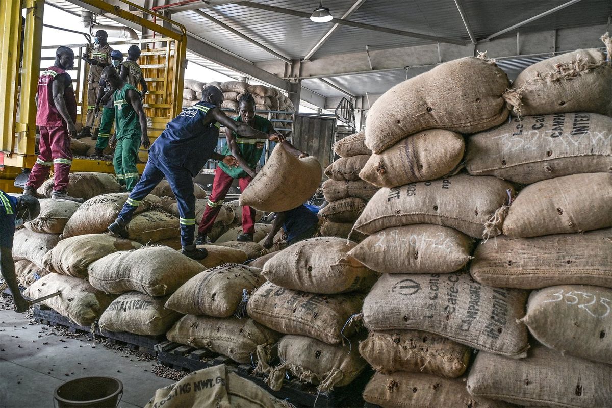 Abidjan'da Transcao'ya kakao çekirdekleri boşaltılıyor, 29 Ocak 2026.