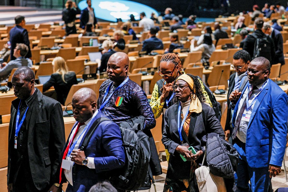 Moğolistan'dan Mısır'a: Afrika, COP Vaatlerini Eyleme Dönüştürmeli