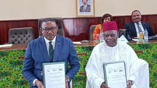 Kamerun, çiftçilerin krediye erişimini genişletmek için mikrofinans şirketi FIGEC'i kullanıyor