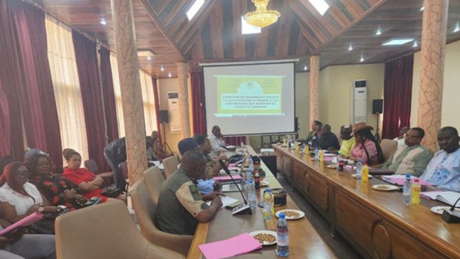 Kamerun yasa dışı ticarete karşı gümrük baskınını uzattı