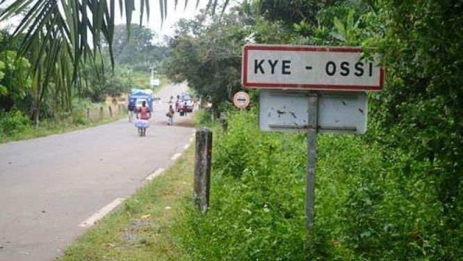 Kamerun, Gabon ve Ekvator Ginesi ile ticareti destekleyecek 10 hektarlık lojistik merkezi planlıyor