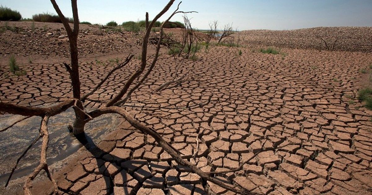 Afrika Kalkınma Bankası: El Niño Afrika ekonomilerine 20 milyar dolara mal olabilir.