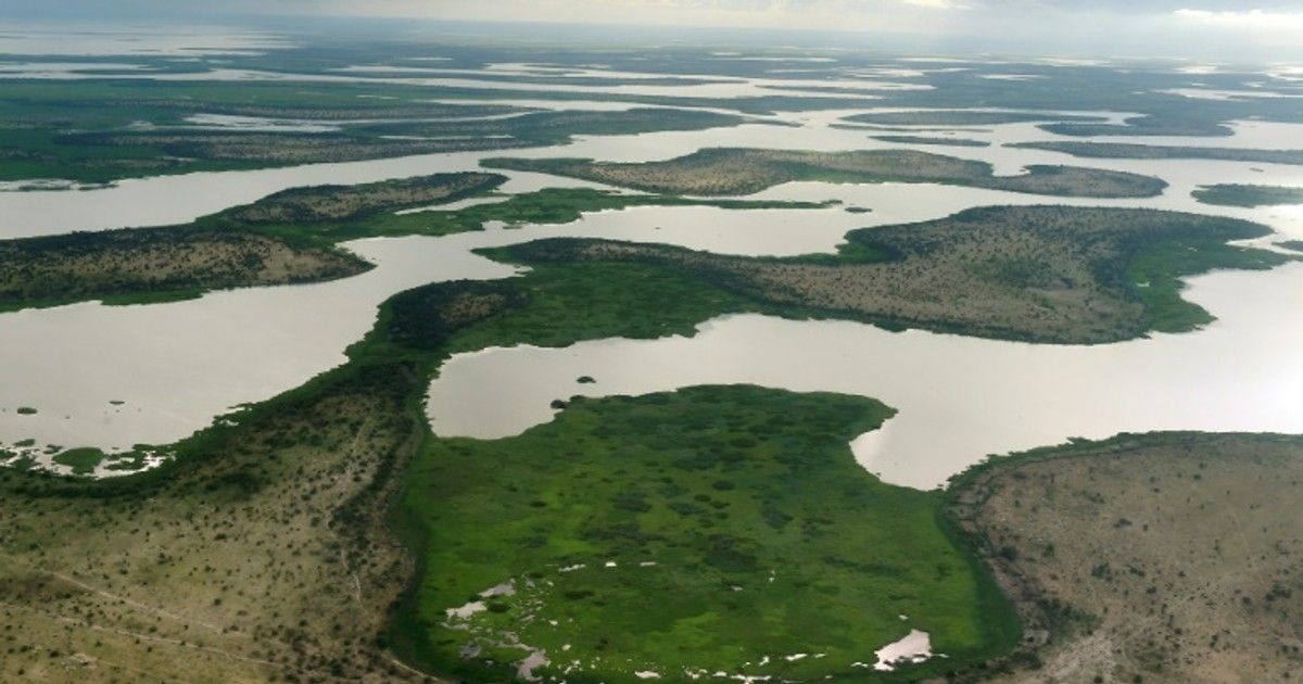 Çad Gölü yok oluyor. Afrika'nın 50 milyar dolarlık projesi 4 ülkeyi kurtarabilir mi?