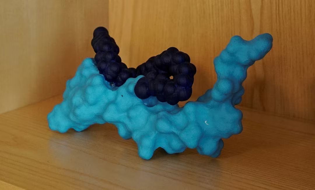 Semaglutid molekülünün bilimsel modeli, Hellerup, Danimarka.