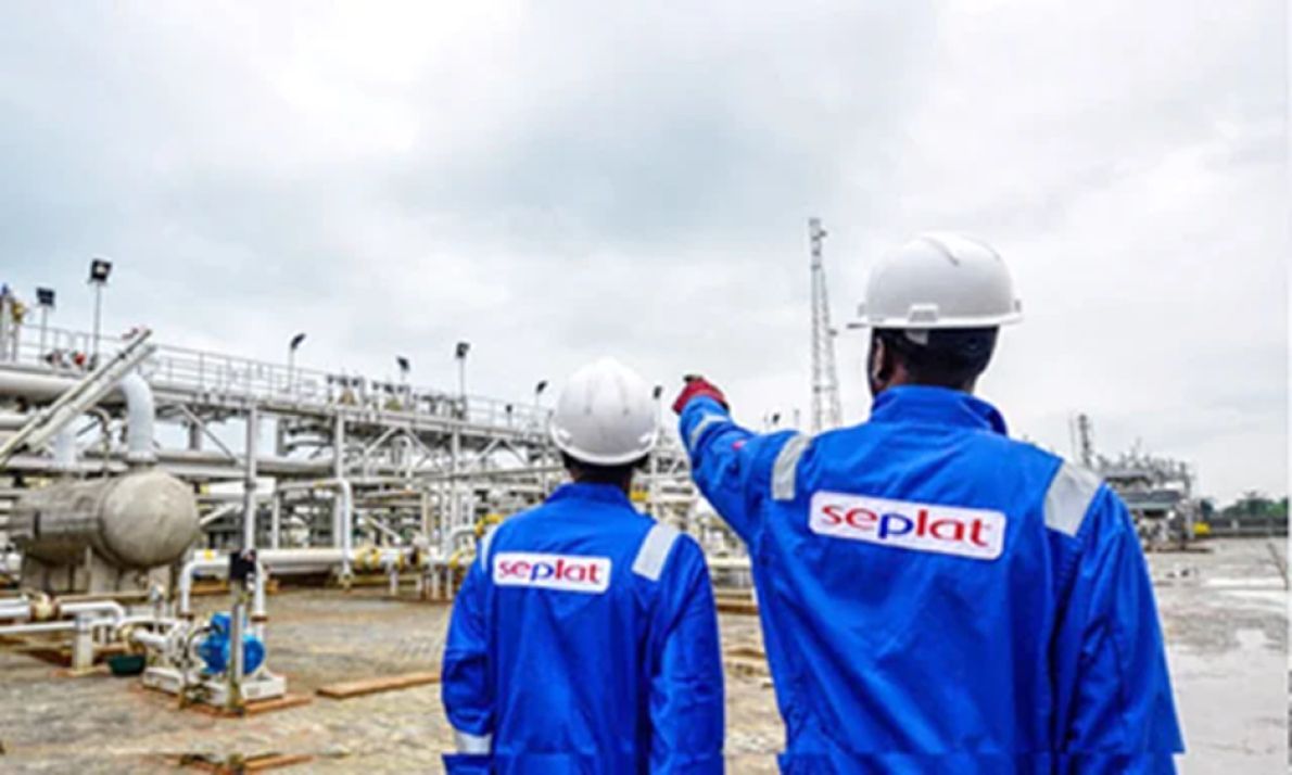 Nijerya'dan Seplat, Petrol Varlık Hissesi Satıyor