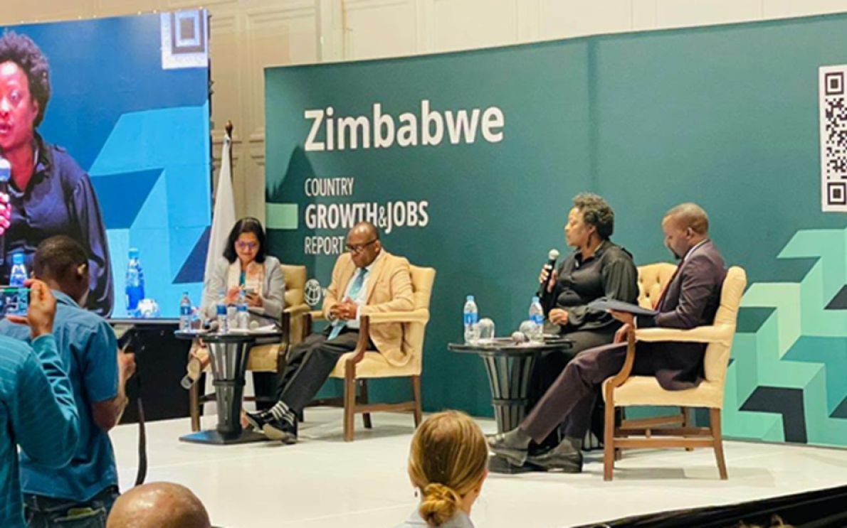 Zimbabve reformları 2030'a kadar 148.000 iş yaratacak.