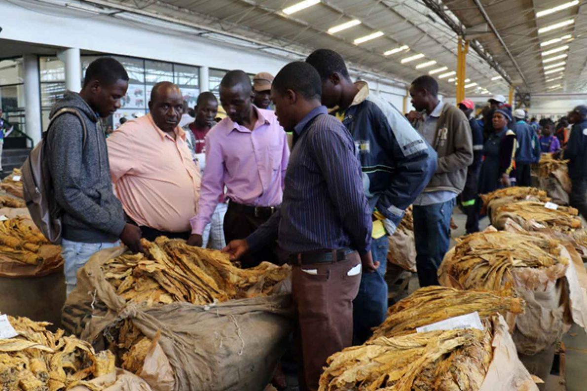 Küresel Tütün Pazarında Afrika'nın Artan Rolü, Beş Şekilde