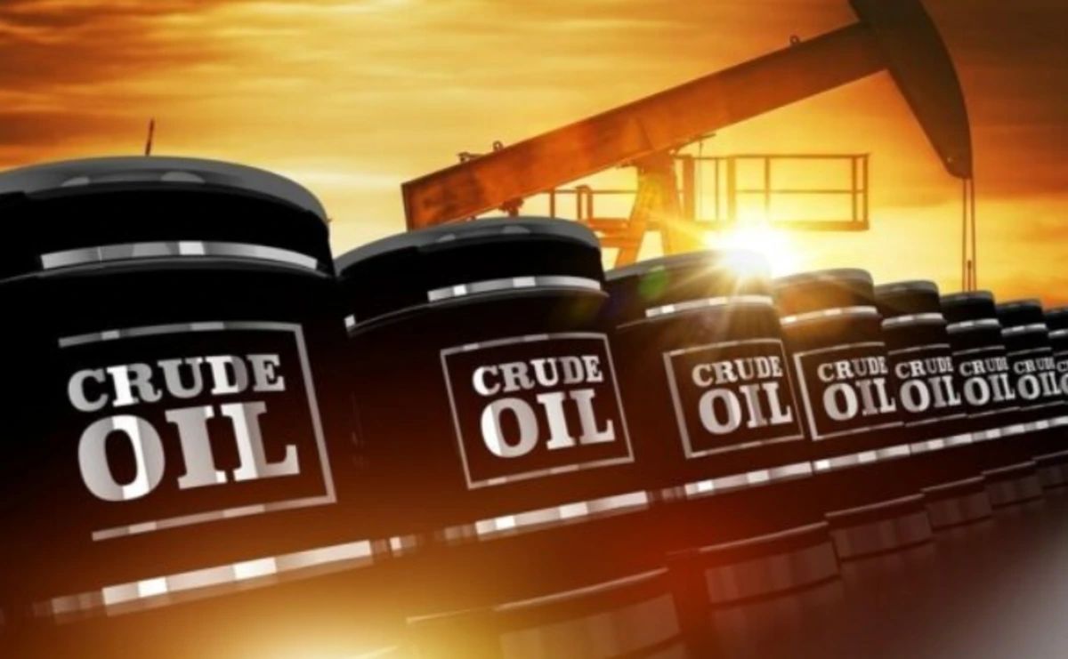OPEC+ dört aylık artış sonrası petrol üretimini durdurdu