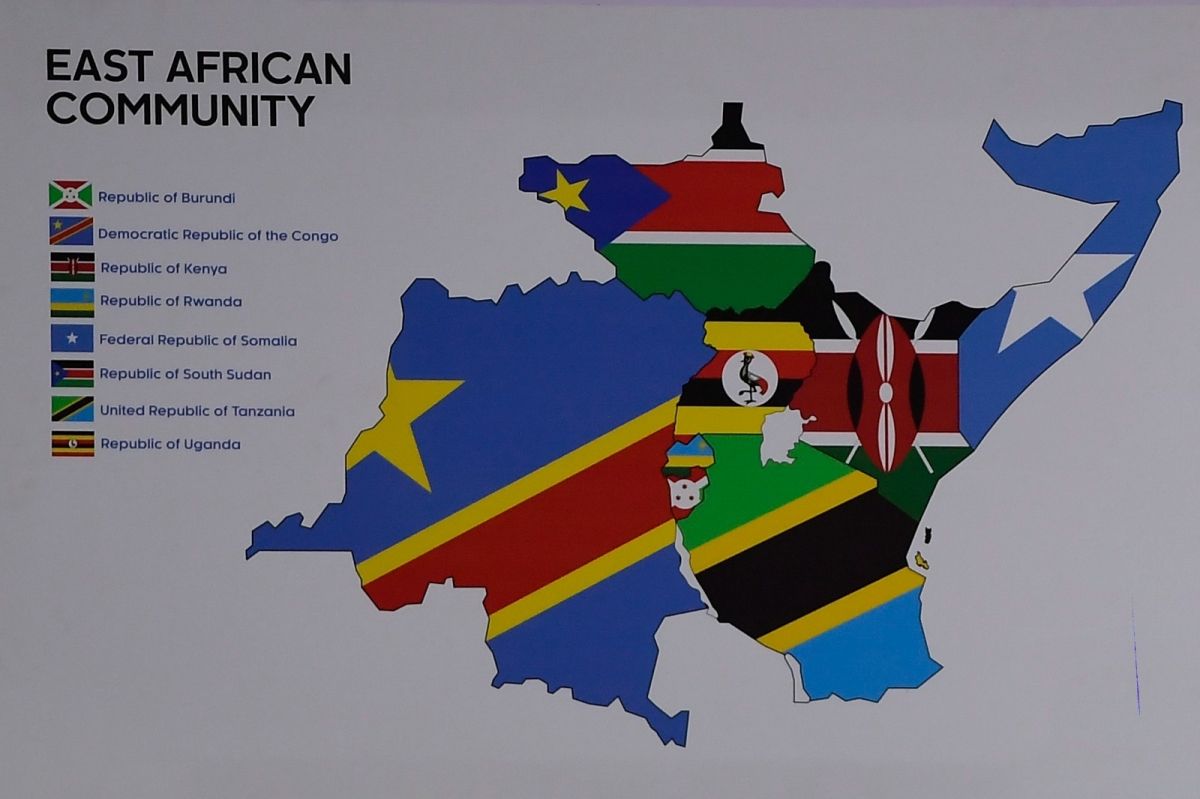 Doğu Afrika Topluluğu Genişliyor: Bölünme mi, Bütünleşme mi?