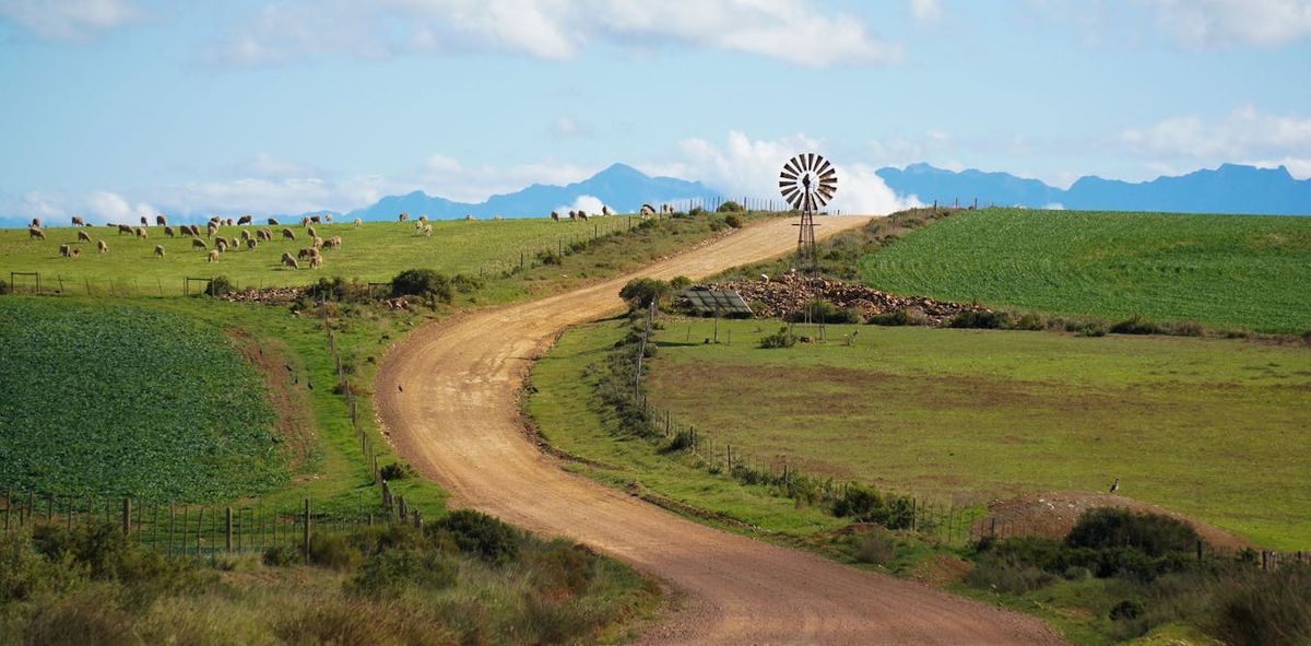 Kırsal manzara, yol, sığır, yel değirmeni, dağlar